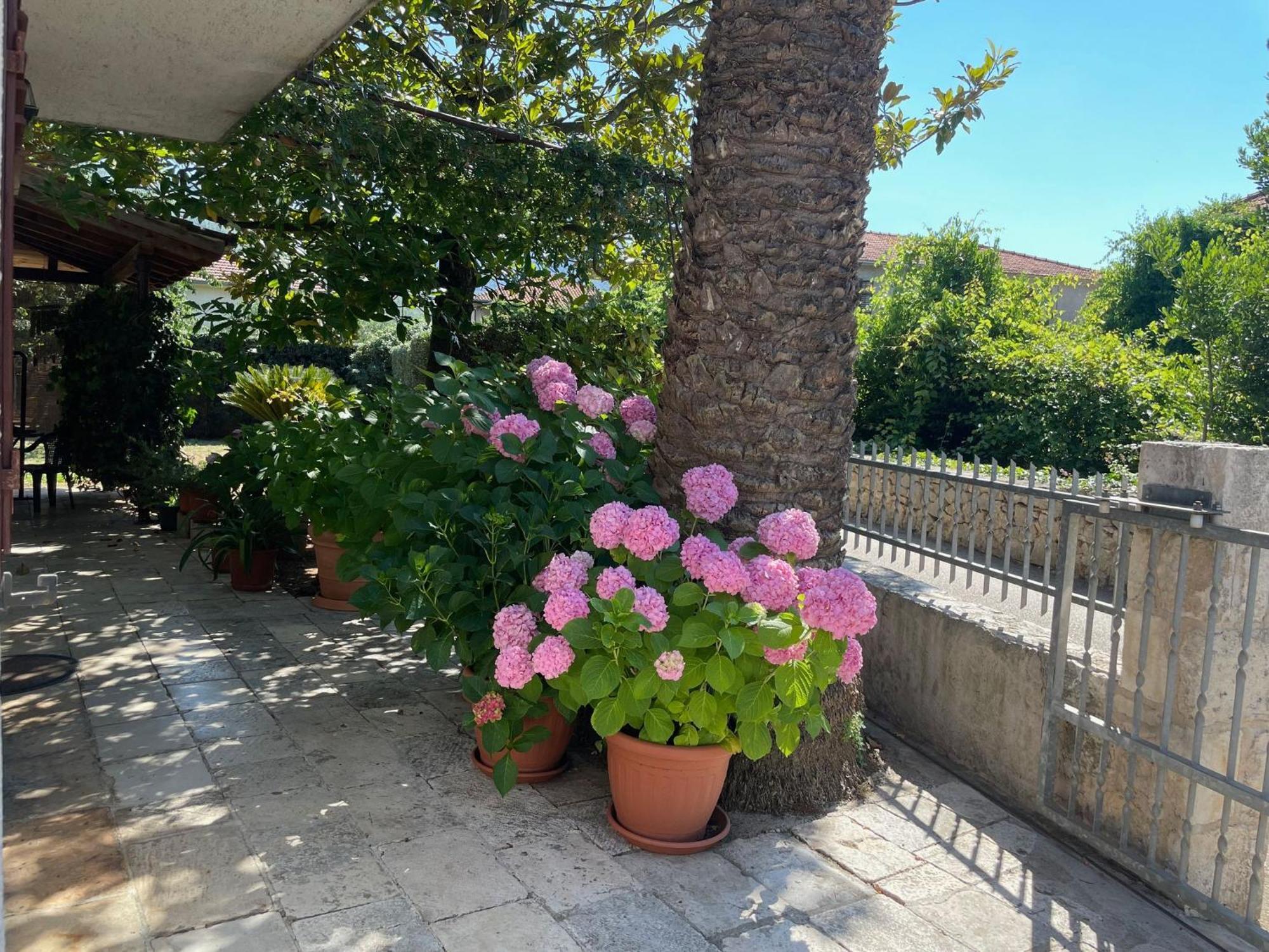Hvar Guesthouse - Double Bedroom With Private Bathroom Jelsa  Zewnętrze zdjęcie
